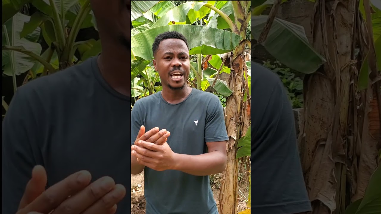 Начало футбольного матча