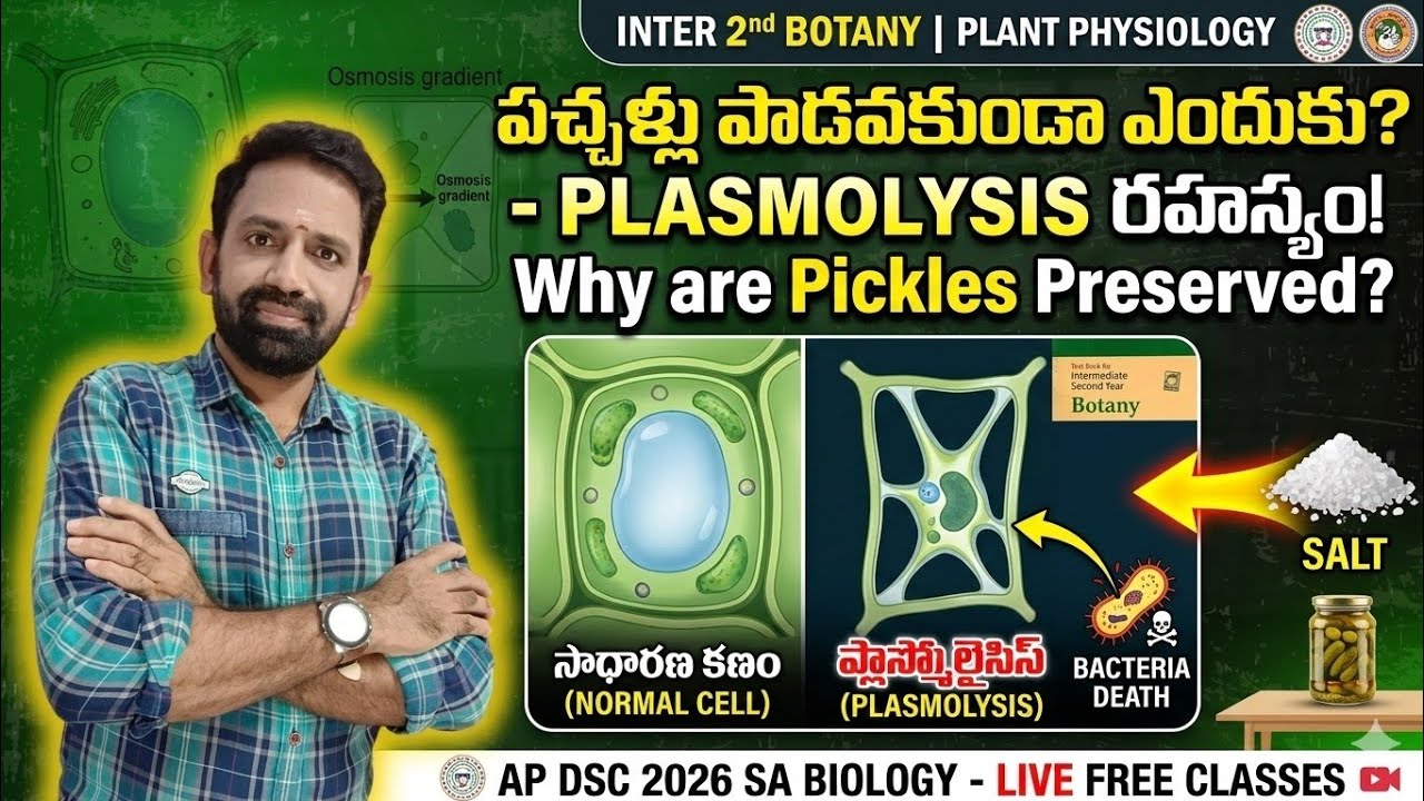 🎯TET and DSC,2025 -26 🎯