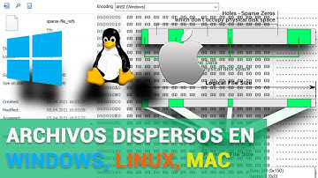 Archivos dispersos en Windows, Linux, MacOS (NTFS, REFS, Ext3, Ext4, BTRFS y APFS): Сonsejos útiles