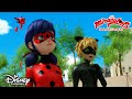 👿 Biedronka vs siły zła | Miraculous: Biedronka i Czarny Kot | Disney Channel Polska