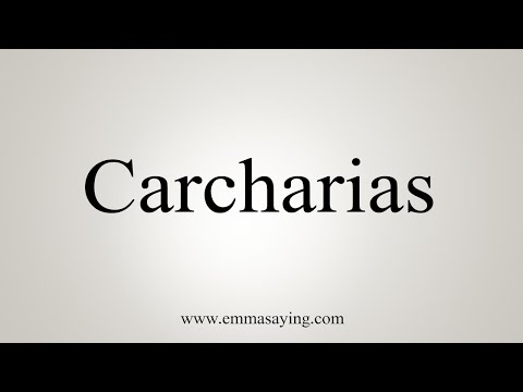 How To Say Carcharias