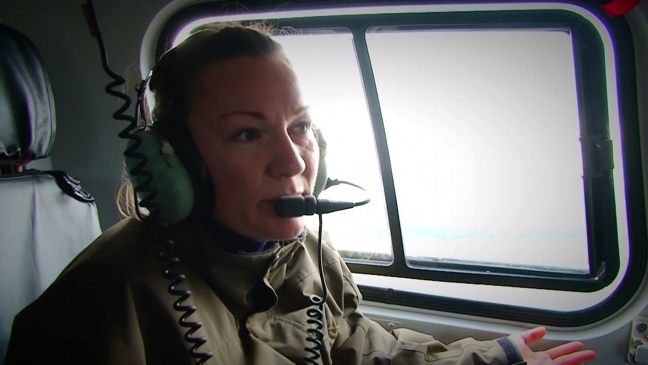 Gamtos Inspektoriai 2018 01 19