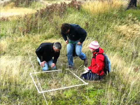 natural numbers Studying Ecosystems on Natural Areas