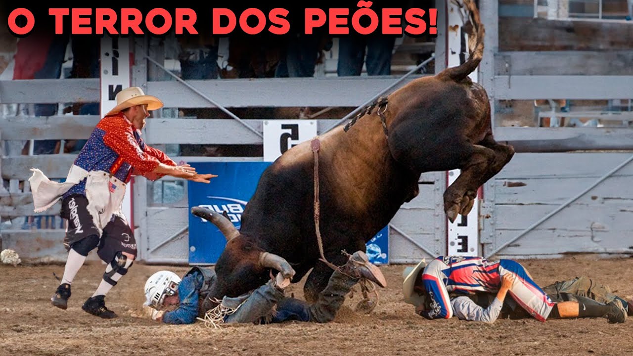 Os Mais Perigosos E Temidos Touros De Rodeio Da História