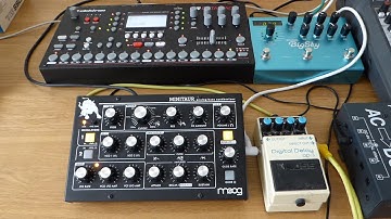 Moog Minitaur, Boss DD3 Digital Delay & Strymon Big Sky