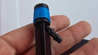 Celebrity In The Sprinklers with Susie B  live! Net Worth