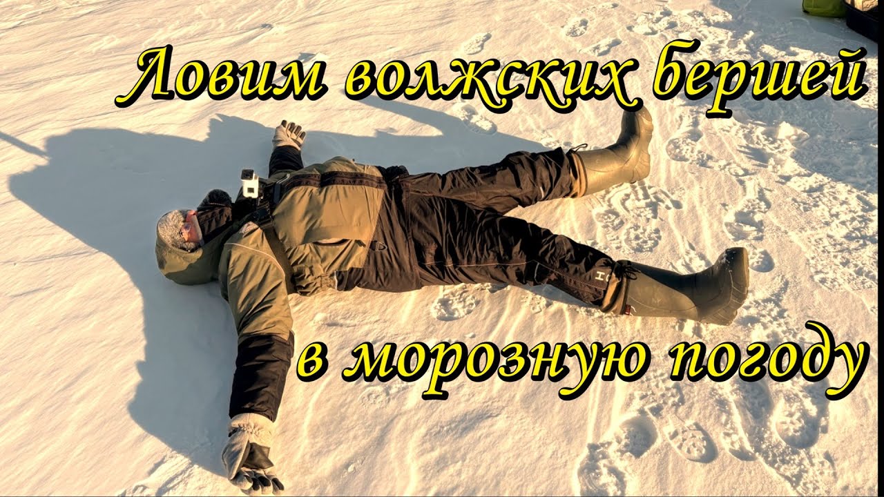 ЛОВИМ ВОЛЖСКИХ БЕРШЕЙ В МОРОЗНУЮ ПОГОДУ
