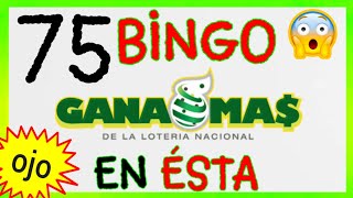 SORTEOS loteria GANA MÁS...! (( 75 )) BINGO HOY / RESULTADO de las LOTERÍAS/ NUMEROLOGÍA para HOY.