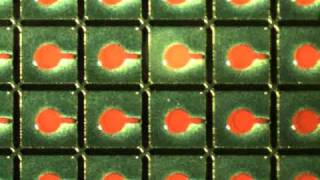 Electrofluidic Technology