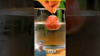 This Isn’t Magic… It’s Science Tricks 🤯 | Mind-Blowing Experiments#shortsfeed #experiment