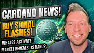 CARDANO ADA - Buy Signal Flashes?! False Report Exposes Market Direction?! Cardano Whales Activate!