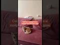 Сейчас зарядится и пойдет разносить дом