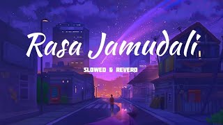Rasa Jamudali | New Sambalpuri Song | lofi song | Slowed & Reverd ||