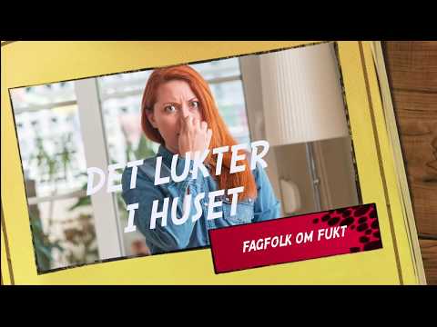 Video: Bli Av Med Flugor I Huset