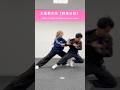 太極拳の奥義!!野馬分鬃の用法(型分解) #武術#カンフー#武道#taichi