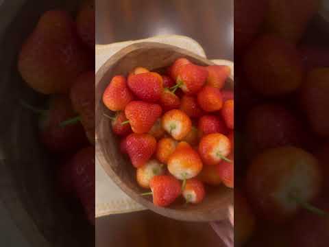 روتين صباح العيد