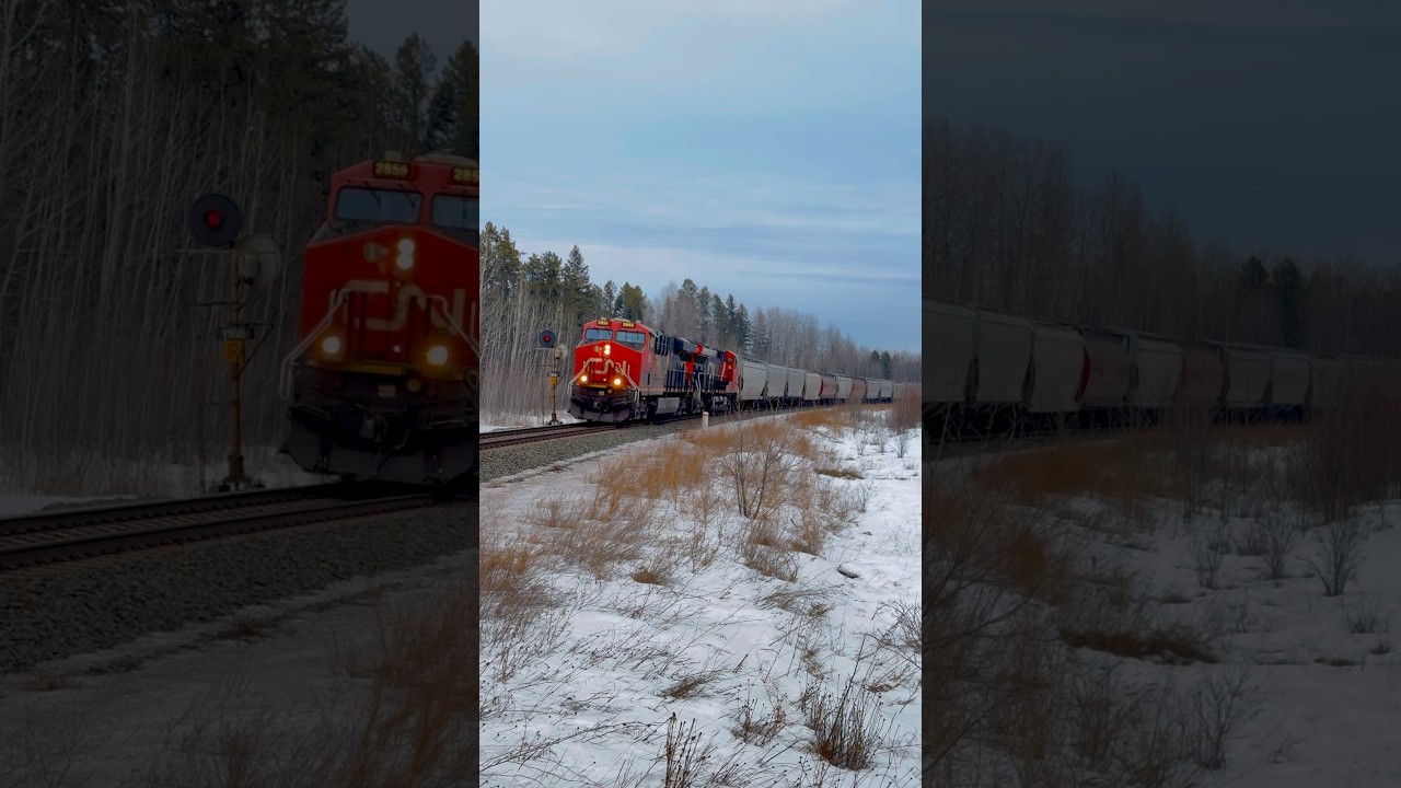 CN G 84541 16 at Rosevear - Edson Sub