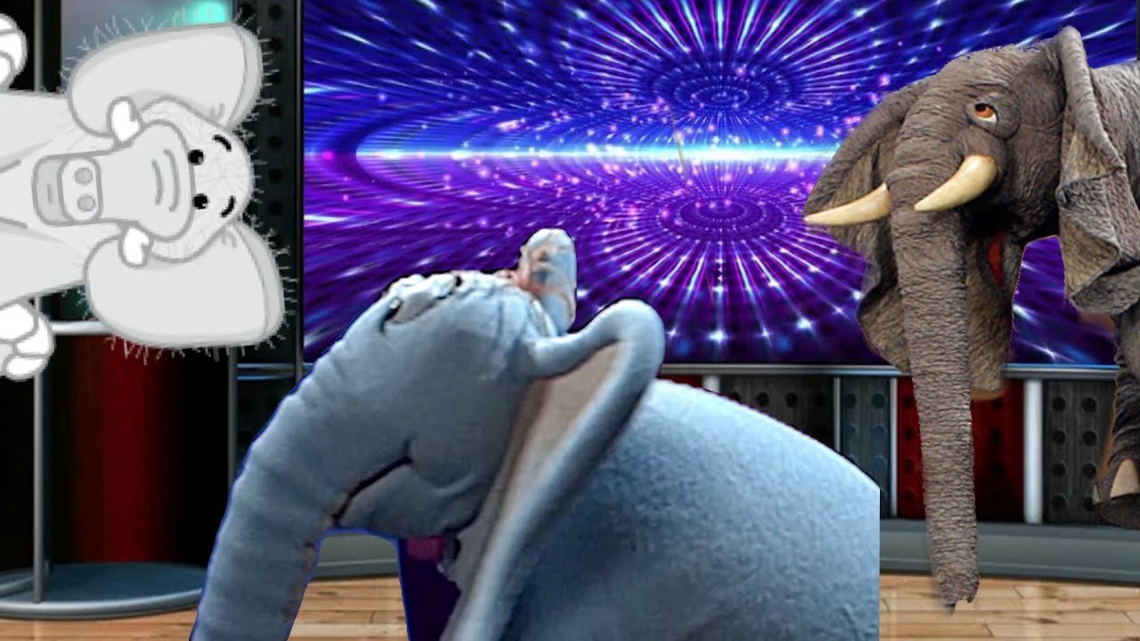 📺 Horton the Elephant’s New TV Show 📺 - YouTube