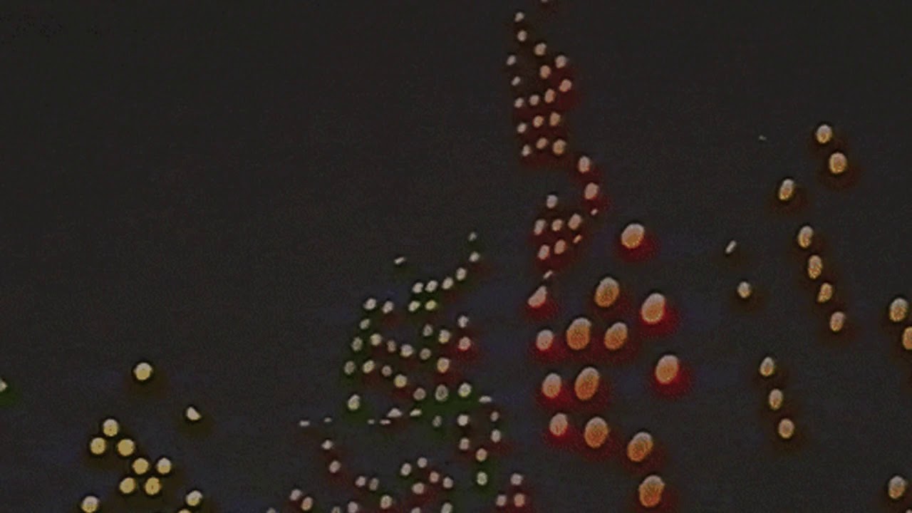 bryson tiller - finesse (cover) (slowed + reverb)