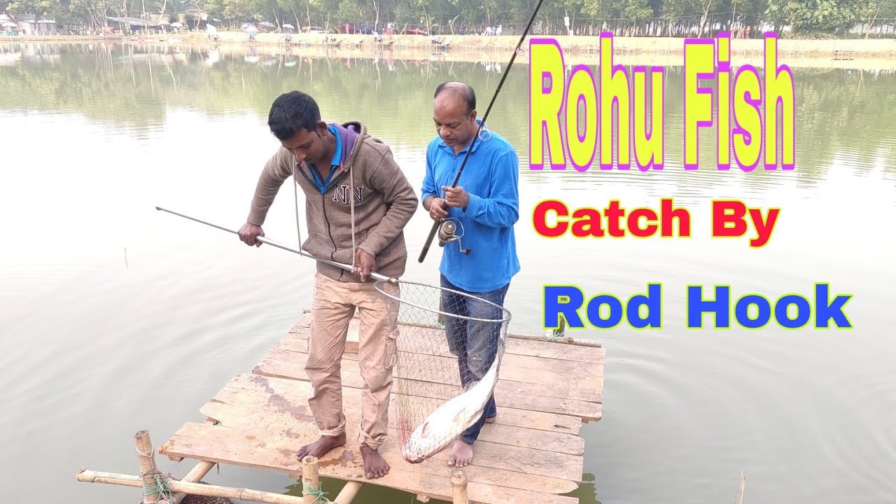 Rohu Fish Catch By Rod HookVideo by Village Fish Hunt. YouTube