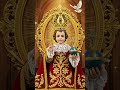 குழந்தை இயேசு பாடல் 🙏#jesus #jesuschrist #devotional #catholicsaint #explorepage #song #status