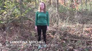 The Ecology of Forest Fragments