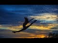 Dance Moms Kaeli Ware - How Many Jumps To Get The Perfect Photo?