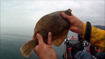 Kayak Fishing - Drifting for Spring Plaice - Using a Drift Chute in Flat Calm Conditions