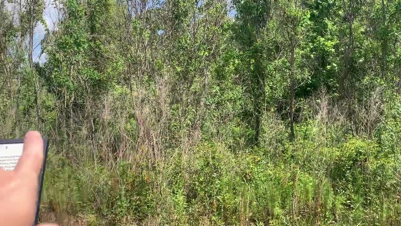 The Lower Field at Raymond, MS