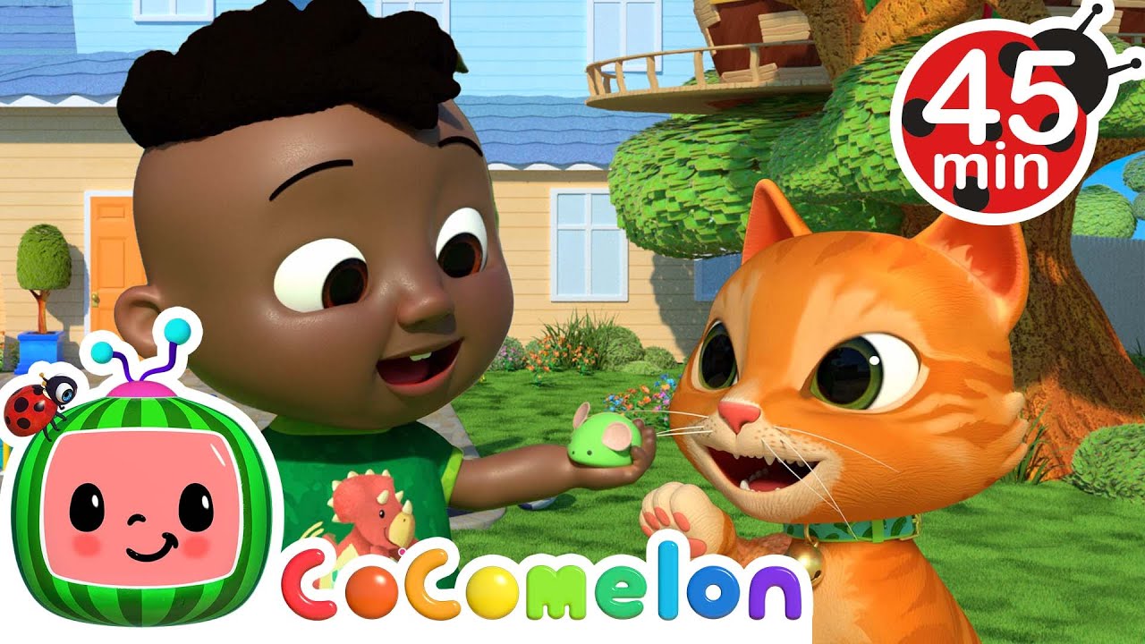 Opposites Song | CoComelon - It's Cody Time | CoComelon Songs for Kids & Nursery Rhymes