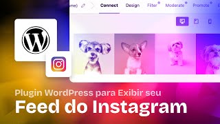 Plugin para Adicionar o Feed do Instagram no seu Site WordPress