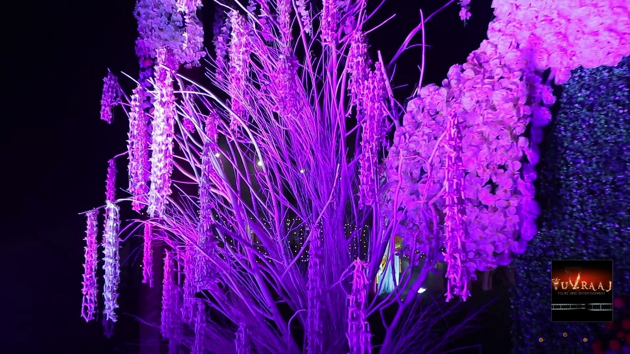 Peacock Theme decoration.. Yuvraaj Events Group