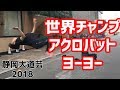 大道芸ワールドカップin静岡2018　シュウタカダ