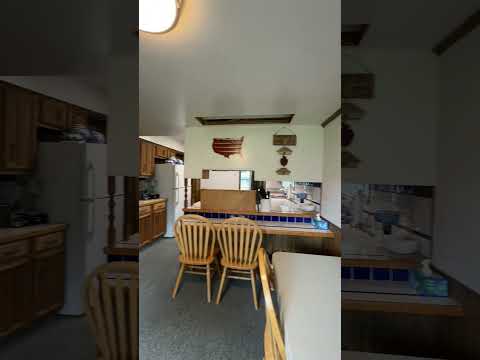 318 E Adrian St, Blissfield, MI home video tour
