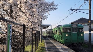 草津線 油日駅に入線する113系