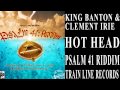 KING BANTON ft CLEMENT IRIE--HOT HEAD(PSALM 41 RIDDIM)TRAIN LINE SEPT 2013