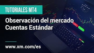 XM.COM - Tutoriales MT4 - Observación del mercado / Cuentas Estándar
