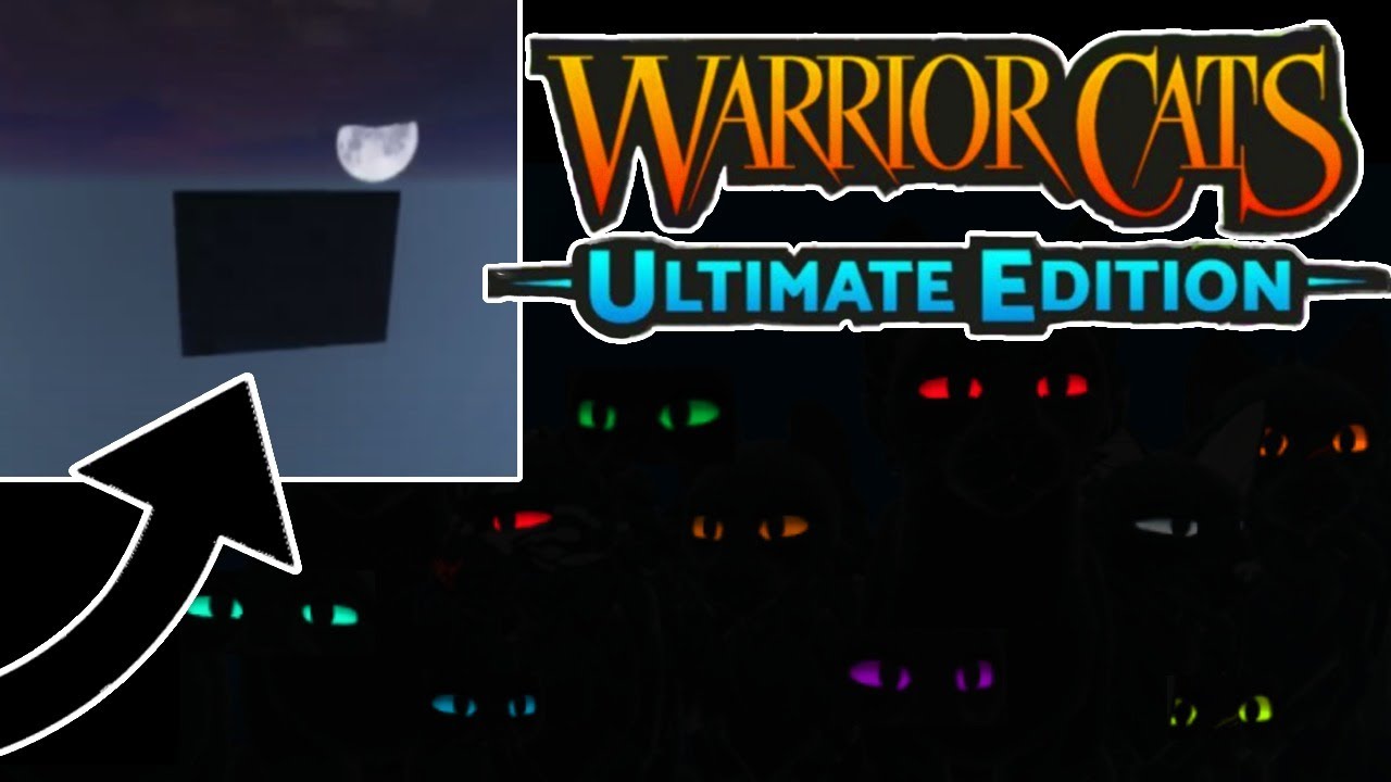 HOW TO GET INTO THE BLACK BOX Warrior Cats Ultimate Edition YouTube