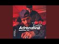 Adrenaline 2 5 Freestyle Bermuda GZ 