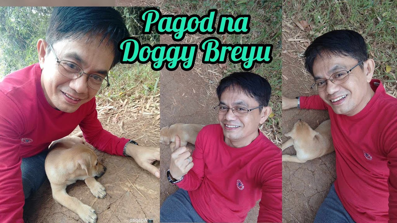 Furbaby On Board Car Magnet - 4.9x4.5" Pet Lover Magnet For Vehicles