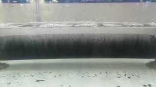 Air Diffuser Model in STP Plant