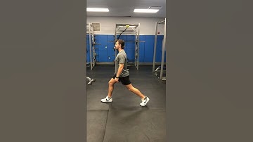 Body Weight Split Squat