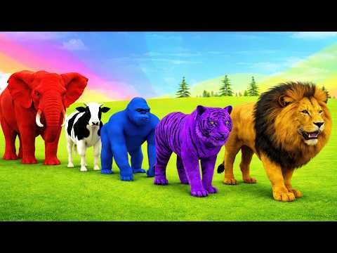 Long Slide Game with Cow Elephant Gorilla Hippopotamus Tiger 3d Animal Game Funny 3d Animals