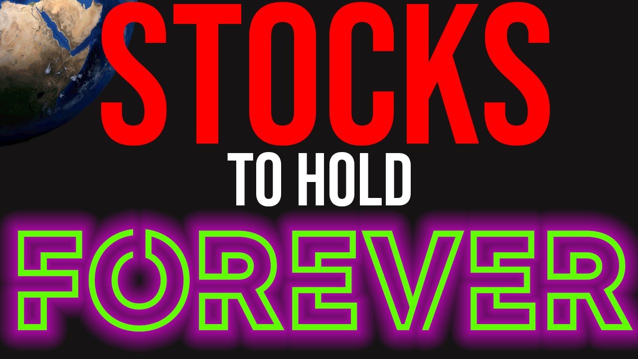 Best Stocks to Buy and Hold FOREVER An In Depth Analysis & Critique of