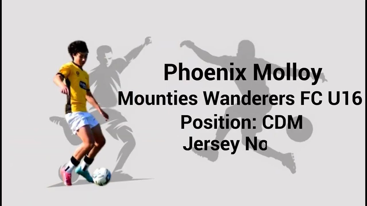 FOOTBALL or SOCCER PLAYER PORTFOLIO