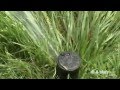 Garden Water Conservation - Overview