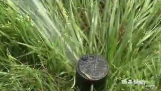Garden Water Conservation - Overview