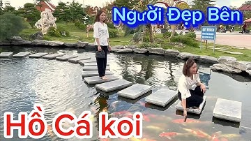 Khuôn Viên Hồ Cá Koi Tuyệt Đẹp Ở Đền Lảnh Giang Hà Nam