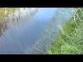 川でウキ釣りしてみた。