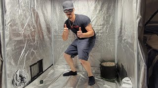Richya 4x4 Grow Tent Review 2023